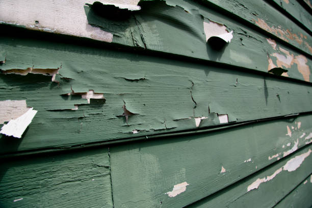 Best Commercial Junk Removal  in East Rochester, NY